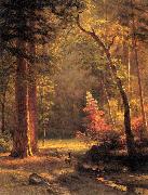 Albert Bierstadt, Dogwood by Albert Bierstadt